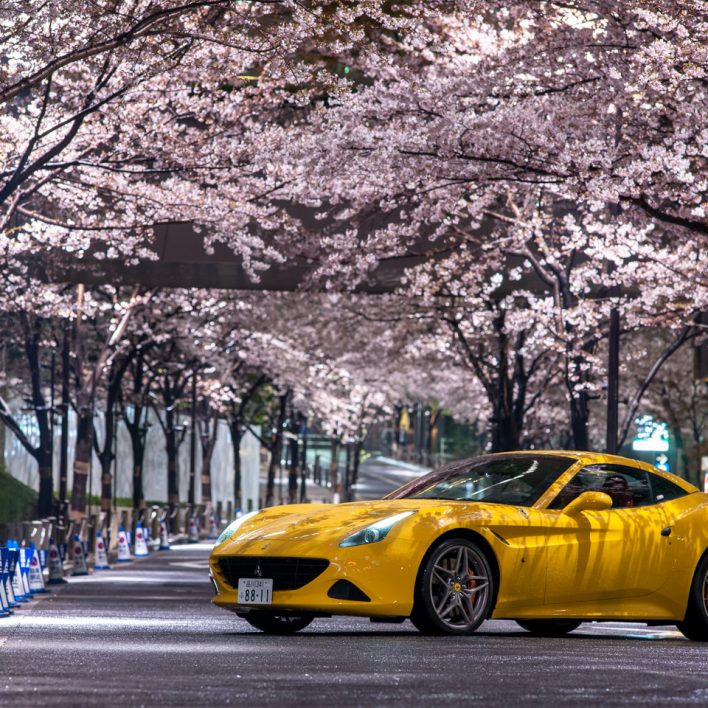 20160402izumigarden