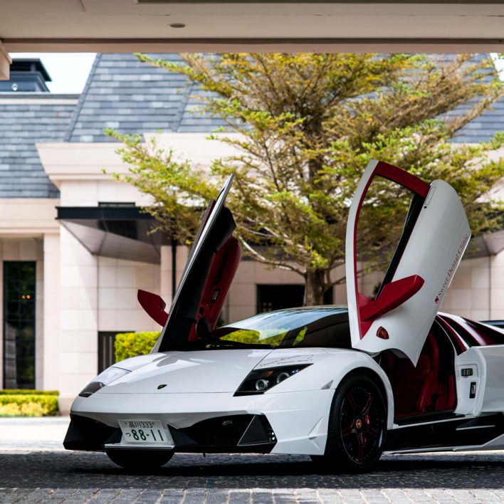 20130728-murcielago-xiv