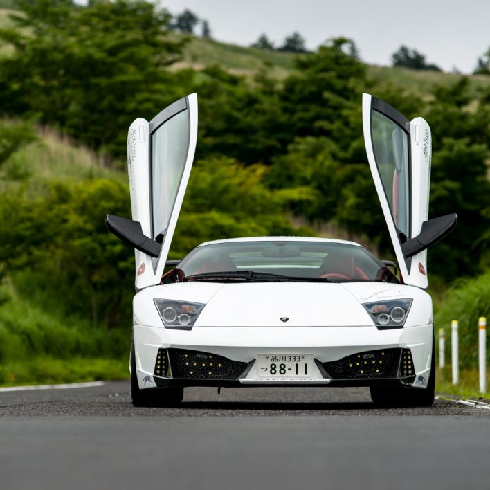 20150705-murcielago-yamanakako