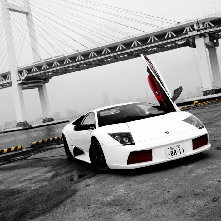 20110728-murcielago-daikoku