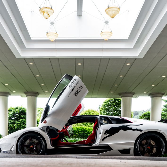 20150705-murcielago-yamanakako