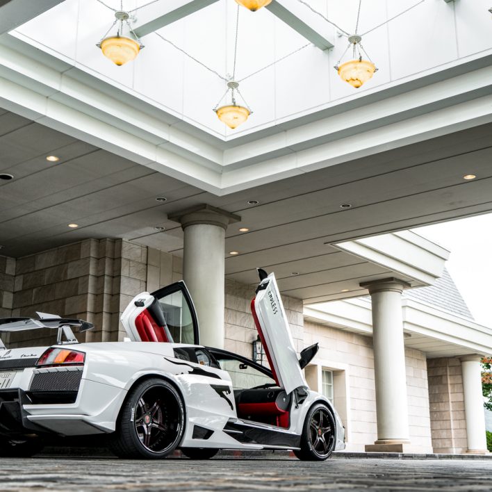 20150705-murcielago-yamanakako